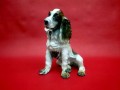 Porcelana JRJS CLUJ olbrzymia figura Cocker Spaniel