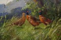 Pejzaż z bażantami animalistyczny obraz - Eugen Frank - Colon