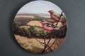 Kolekcja z ptakami talerz Royal Doulton 2