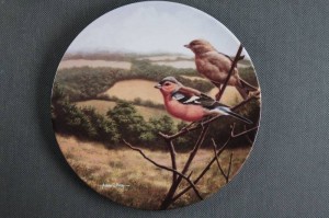 Kolekcja z ptakami talerz Royal Doulton 2