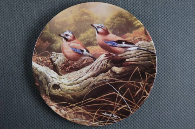 Kolekcja z ptakami talerz Royal Doulton 3