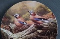 Kolekcja z ptakami talerz Royal Doulton 3