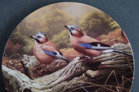 Kolekcja z ptakami talerz Royal Doulton 3