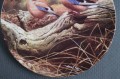 Kolekcja z ptakami talerz Royal Doulton 3