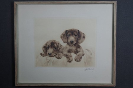 Dwa jamniki akwaforta Kurt Meyer Eberhardt