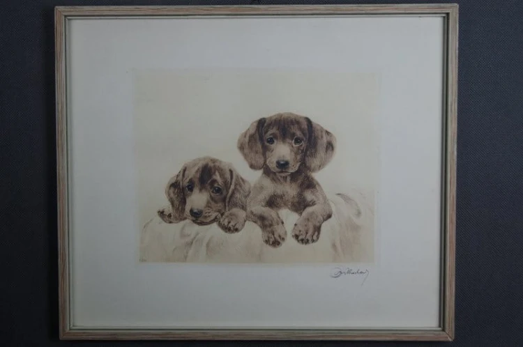 Dwa jamniki akwaforta Kurt Meyer Eberhardt