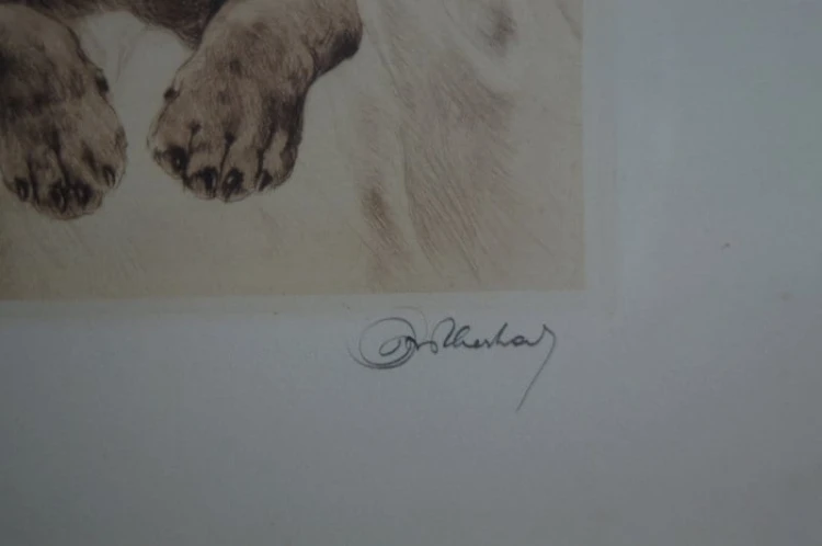 Dwa jamniki akwaforta Kurt Meyer Eberhardt