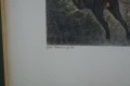 Scena z polowania stara litografia Carl Vernet