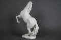 Koń biała porcelanowa figura Hutschenreuther