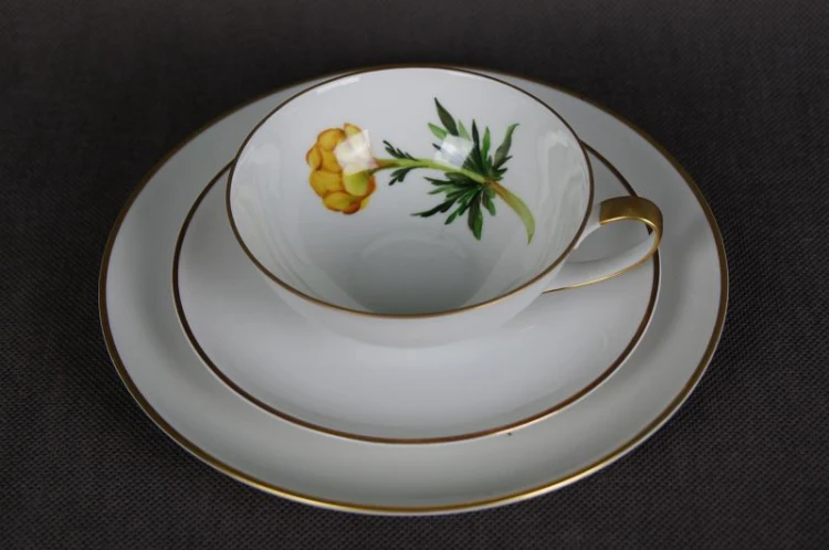 Herbaciane trio porcelana Hutschenreuther kwiat Pełnik