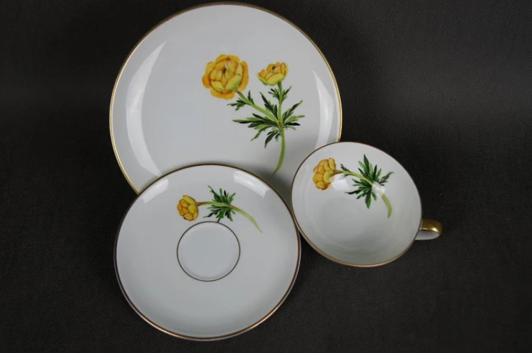 Herbaciane trio porcelana Hutschenreuther kwiat Pełnik