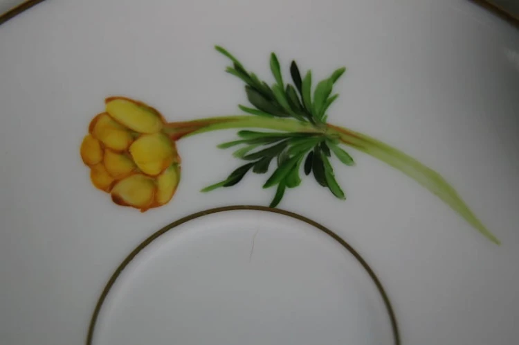 Herbaciane trio porcelana Hutschenreuther kwiat Pełnik