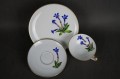 Porcelana Hutschenreuther kwiat Szafranu na śniadaniówce