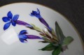 Porcelana Hutschenreuther kwiat Szafranu na śniadaniówce