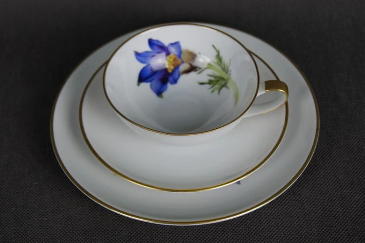 Trio do herbaty z kwiatem Szafranu Hutschenreuther porcelana