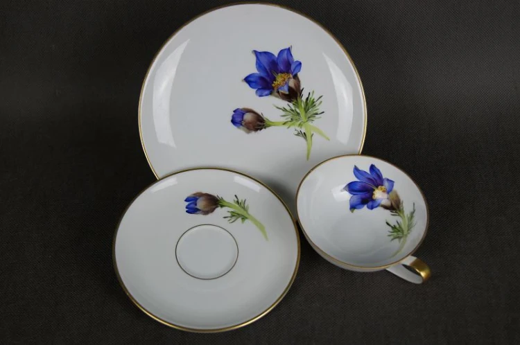 Trio do herbaty z kwiatem Szafranu Hutschenreuther porcelana