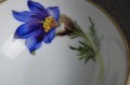 Trio do herbaty z kwiatem Szafranu Hutschenreuther porcelana