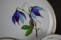 Trio do herbaty kwiat Powojnik na porcelanie Hutschenreuther