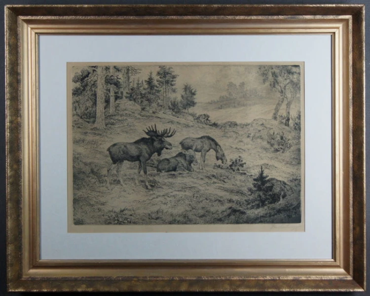 Akwaforta stado łosi grafika Axel Osterberg 1928 rok