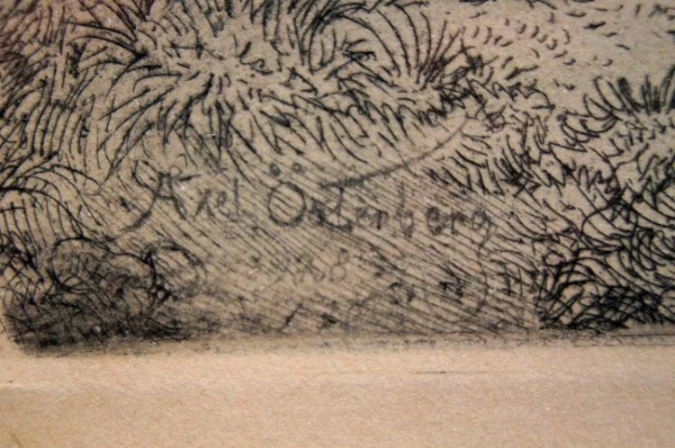 Akwaforta stado łosi grafika Axel Osterberg 1928 rok