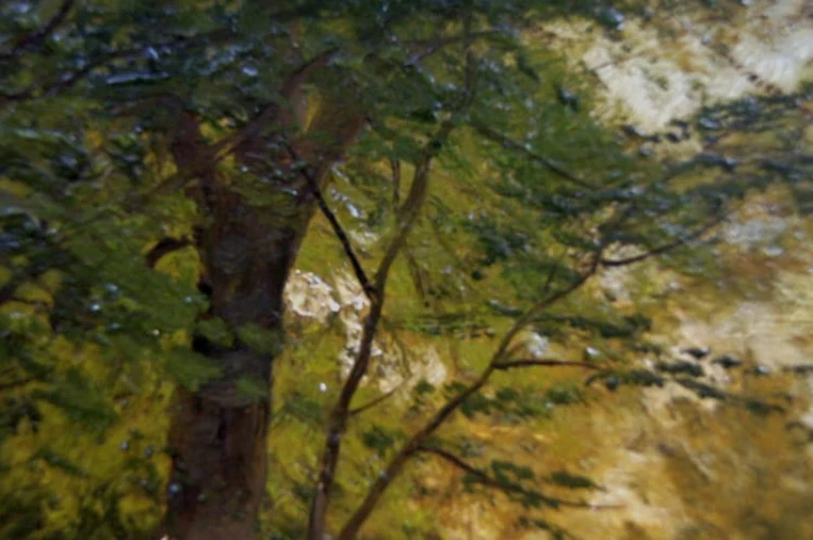Pejzaż leśny z sarnami Fritz Carl Werner Ebel Unikat 1886