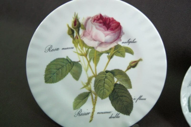 Roy Kirkham Redoute Rose Bone China śniadaniówka