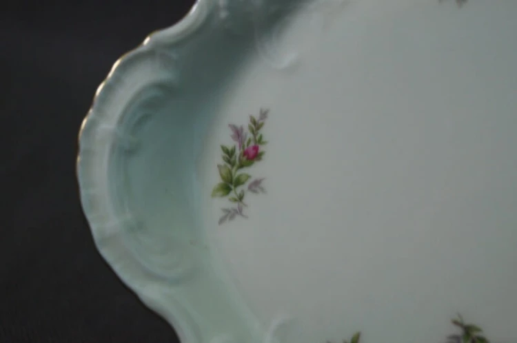 Cudowna podłużna patera ecru 36,3 cm Rosenthal Sanssouci Moosrose