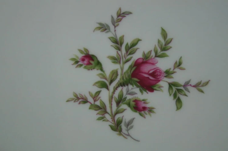 Cudowna podłużna patera ecru 36,3 cm Rosenthal Sanssouci Moosrose
