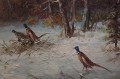 Stado bażantów obraz animalistyczny Lothar Klein Polecam