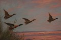 Helmut Gerth - Szybujące dzikie kaczki na tle wieczornej poświaty szczeciński malarz