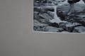 DSC04252.JPG