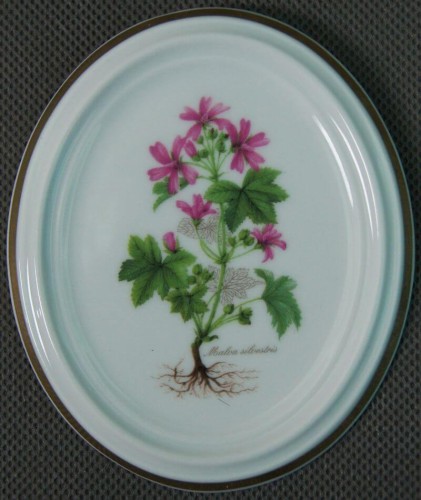 Ślaz dziki na porcelanie talerzyk do powieszenia