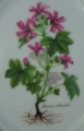 Ślaz dziki na porcelanie talerzyk do powieszenia