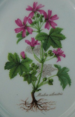 Ślaz dziki na porcelanie talerzyk do powieszenia
