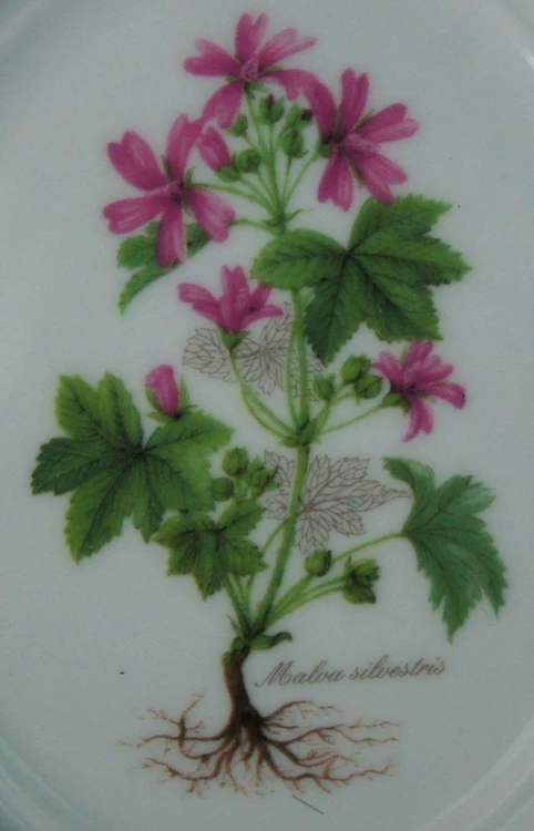 Ślaz dziki na porcelanie talerzyk do powieszenia