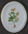 Glistnik jaskółcze ziele na porcelanie plakietka do powieszenia