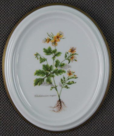 Glistnik jaskółcze ziele na porcelanie plakietka do powieszenia