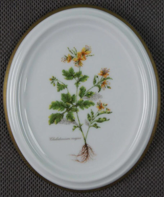 Glistnik jaskółcze ziele na porcelanie plakietka do powieszenia