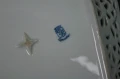 Porcelana z Tiefenfurt unikatowa patera w róże - K. Steinmann