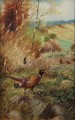 Friedrich Kottmann I Stado bażantów animalistyczny obraz na desce