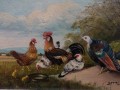 Ptactwo domowe - Animalistyczna scenka | Wilhelm von Battlehner