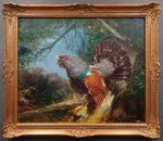 Barwny głuszec malarstwo animalistyczne ⭐ Hans Nickel 