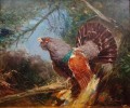 Hans Nickel - Barwny głuszec malarstwo animalistyczne
