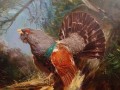 Barwny głuszec malarstwo animalistyczne - Hans Nickel