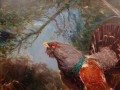 Barwny głuszec malarstwo animalistyczne - Hans Nickel