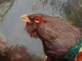 Barwny głuszec malarstwo animalistyczne - Hans Nickel
