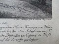 Jeleń szlachetny - miedzioryt J. Elias Ridinger - oryginał 1765 r