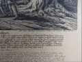Na polowanie z psami - miedzioryt Johann Elias Ridinger