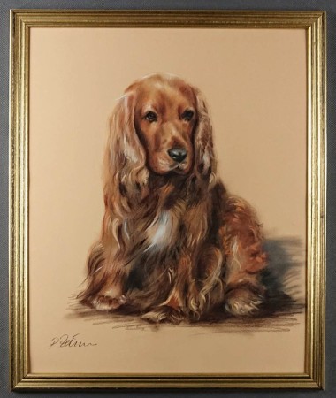 Spaniel uroczy pies - obraz w pasteli