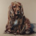Spaniel uroczy pies - obraz w pasteli